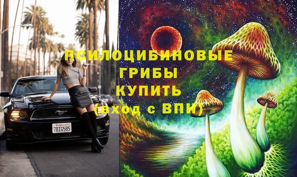 Альфа ПВП Армянск