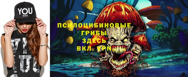 МДПВ Аркадак