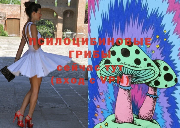 МДПВ Аркадак