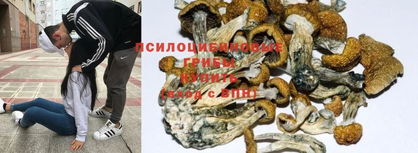 Альфа ПВП Армянск